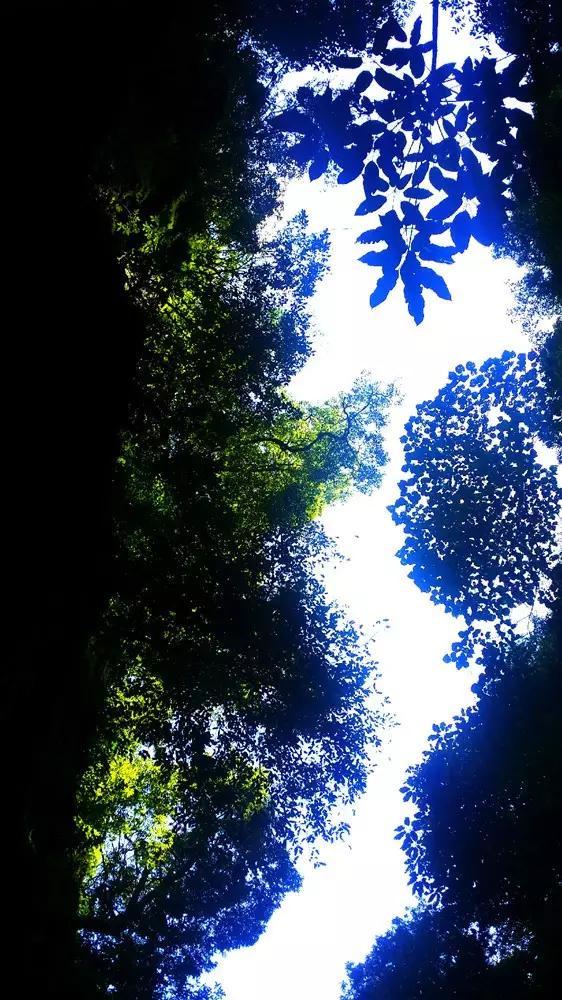疯狂的麦克斯