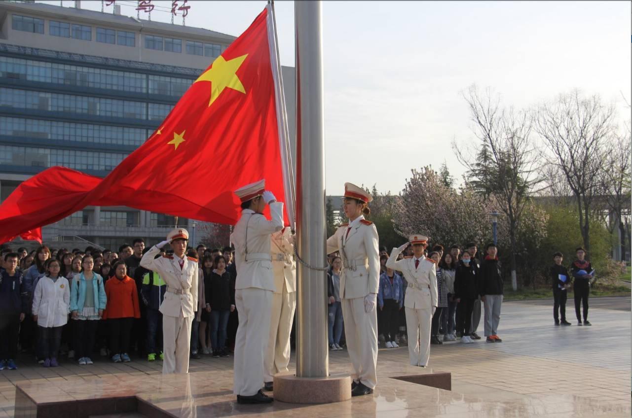 破碎的动物图形3