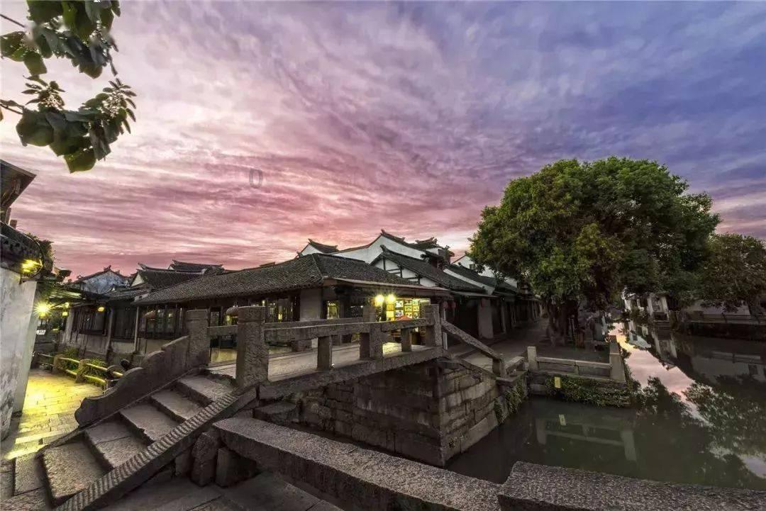 炸弹专家