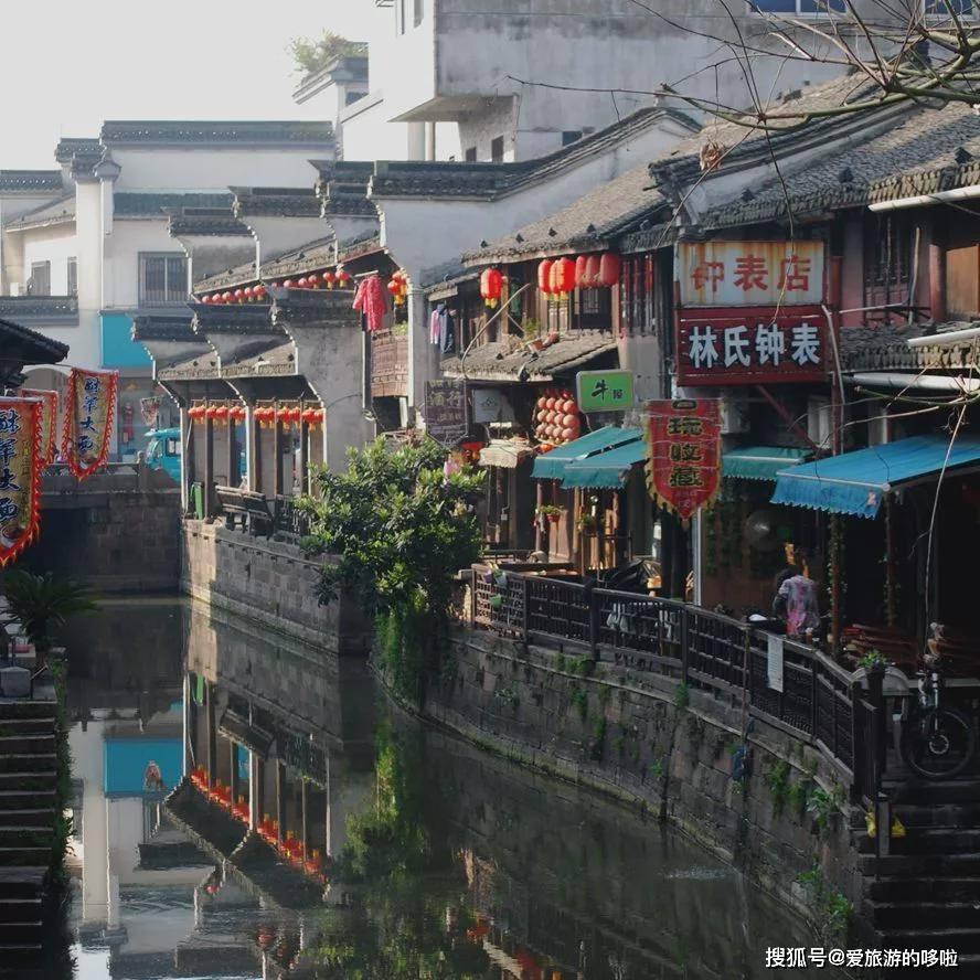 细胞分裂4